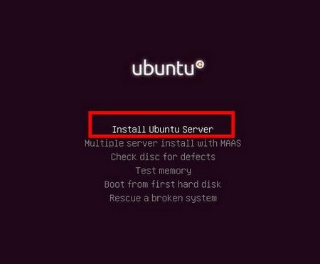 install-pictures-ubuntu-server01-1