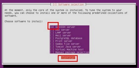 install-pictures-ubuntu-server21