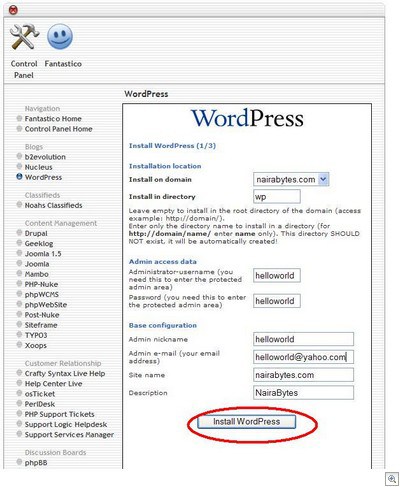 install wordpress own domain-2