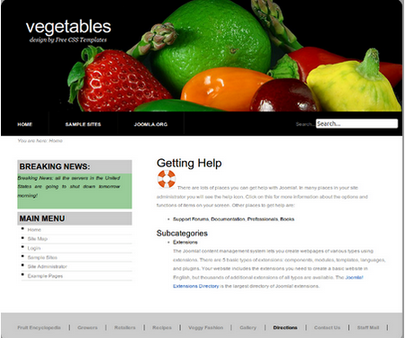 portfolio-vegetables template