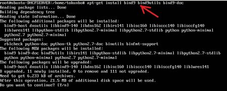 ubuntu-bind9-dnsserver0